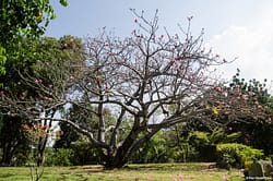 Parc Martissant