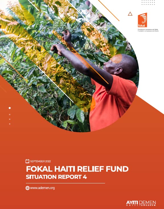 Situation Report 4 Cover