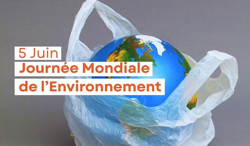 Journee Mondiale de lEnvironnement SITE FOKAL